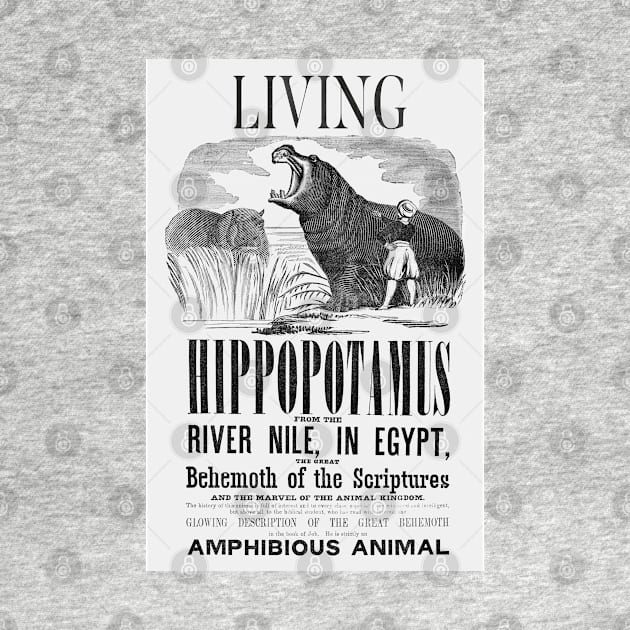 Barnum's American Museum Hippopotamus print by ArtShare